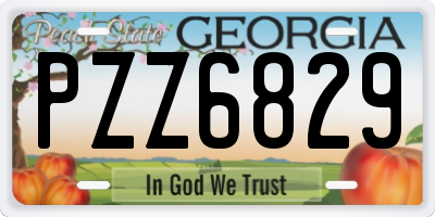 GA license plate PZZ6829