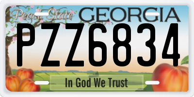 GA license plate PZZ6834