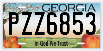 GA license plate PZZ6853