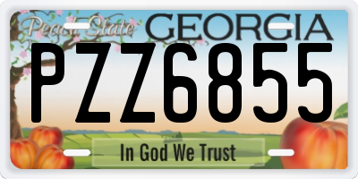 GA license plate PZZ6855