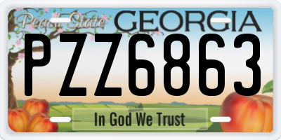 GA license plate PZZ6863
