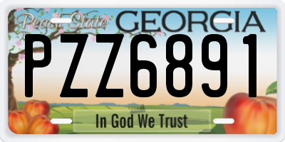 GA license plate PZZ6891