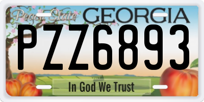 GA license plate PZZ6893