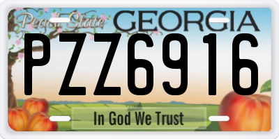 GA license plate PZZ6916