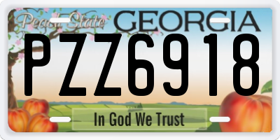 GA license plate PZZ6918