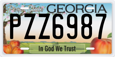GA license plate PZZ6987