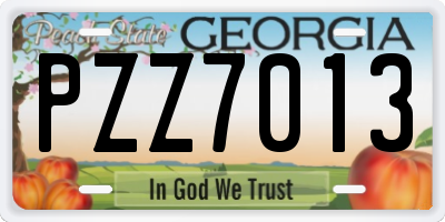 GA license plate PZZ7013