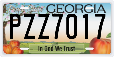 GA license plate PZZ7017