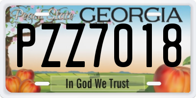 GA license plate PZZ7018