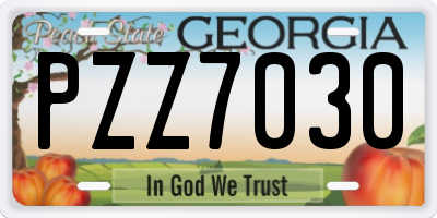 GA license plate PZZ7030