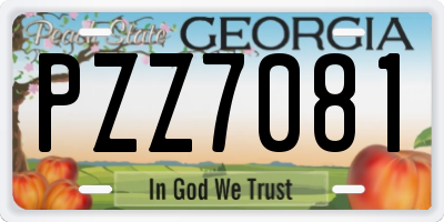 GA license plate PZZ7081