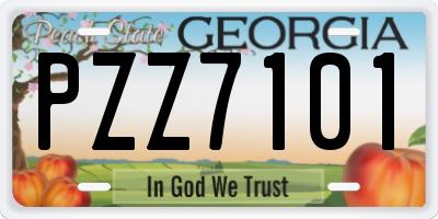 GA license plate PZZ7101