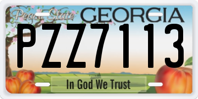 GA license plate PZZ7113