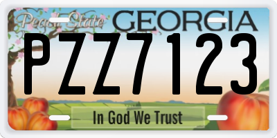 GA license plate PZZ7123