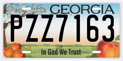 GA license plate PZZ7163