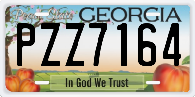 GA license plate PZZ7164