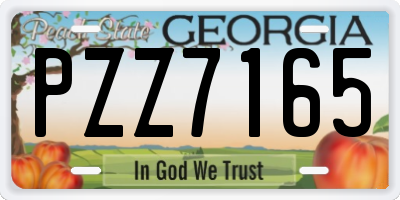 GA license plate PZZ7165