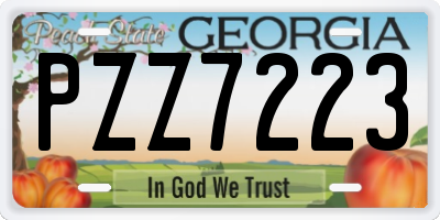 GA license plate PZZ7223