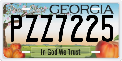 GA license plate PZZ7225