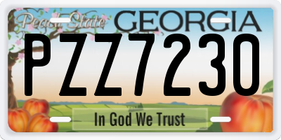 GA license plate PZZ7230
