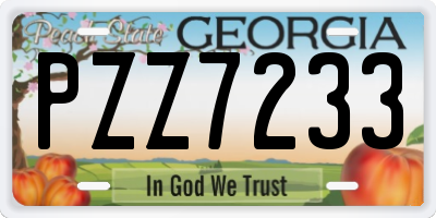GA license plate PZZ7233