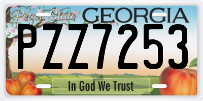 GA license plate PZZ7253