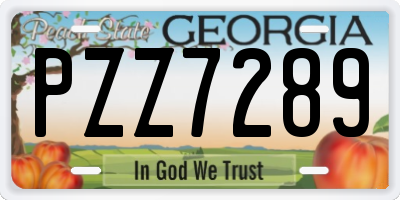 GA license plate PZZ7289