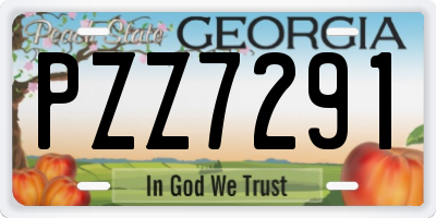 GA license plate PZZ7291