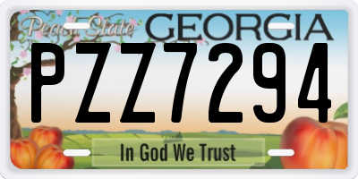 GA license plate PZZ7294