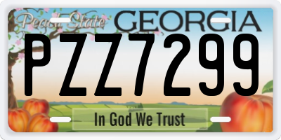 GA license plate PZZ7299