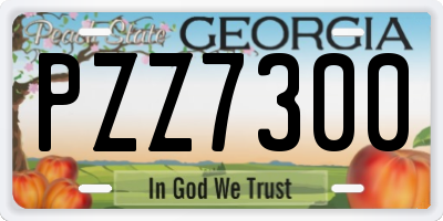 GA license plate PZZ7300