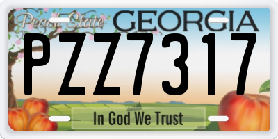 GA license plate PZZ7317