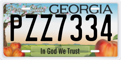 GA license plate PZZ7334