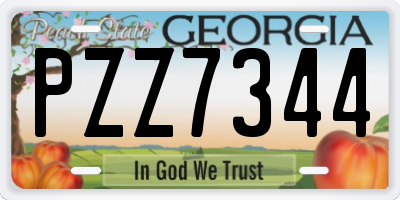 GA license plate PZZ7344