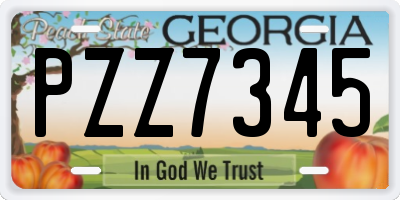 GA license plate PZZ7345