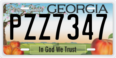 GA license plate PZZ7347