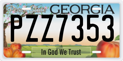 GA license plate PZZ7353