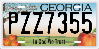 GA license plate PZZ7355