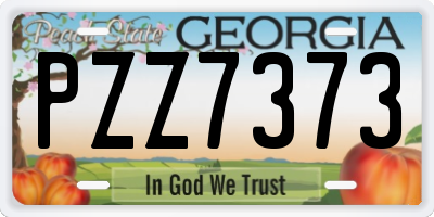 GA license plate PZZ7373