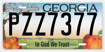 GA license plate PZZ7377