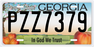 GA license plate PZZ7379