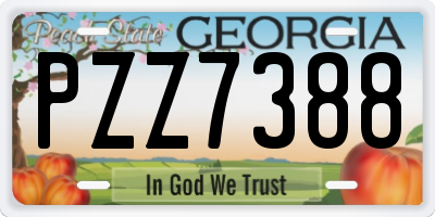 GA license plate PZZ7388