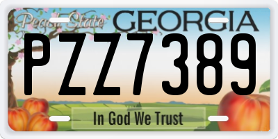 GA license plate PZZ7389