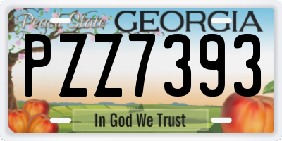 GA license plate PZZ7393
