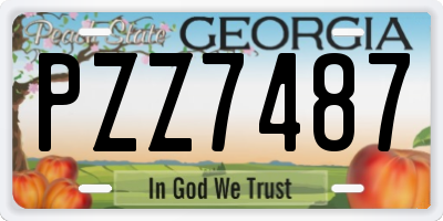 GA license plate PZZ7487