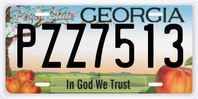 GA license plate PZZ7513