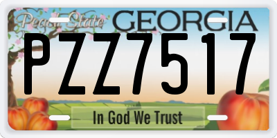 GA license plate PZZ7517