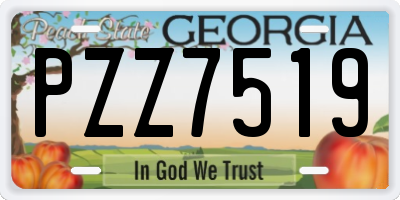 GA license plate PZZ7519