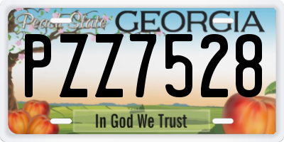GA license plate PZZ7528