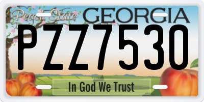 GA license plate PZZ7530